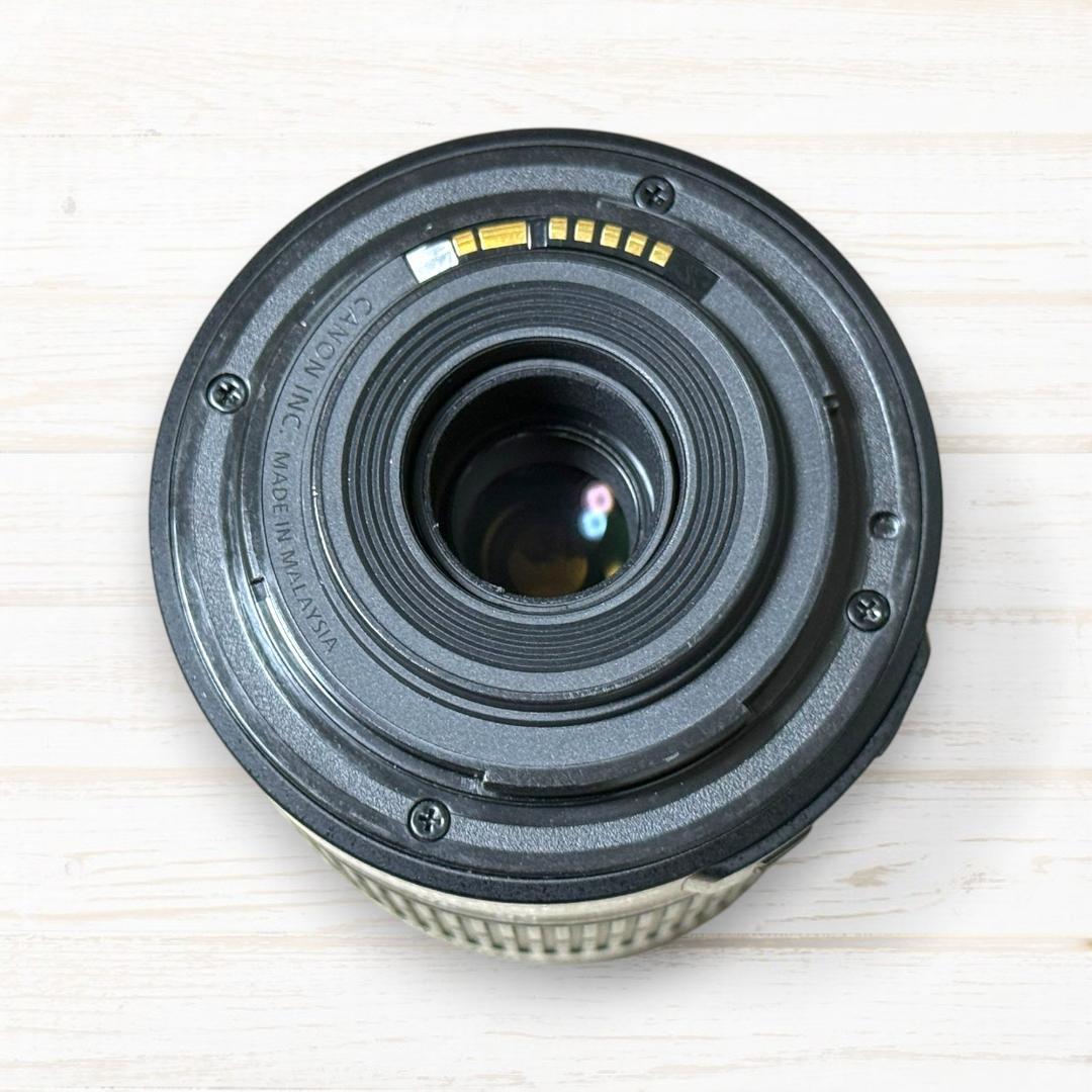 Canon ズームレンズ EF-S 55-250mm IS Ⅱ #272