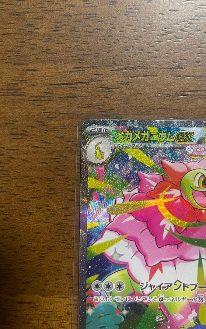 メガメガニウムex SAR仕様 761/742