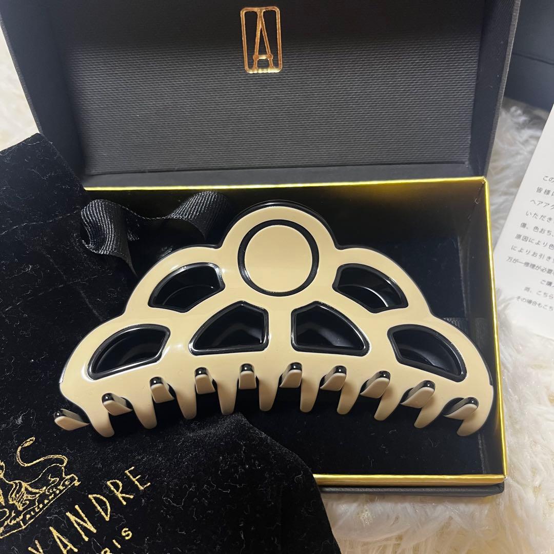 ☆アレクサンドル ドゥ パリ⭐︎【LISERAI】M クリップ