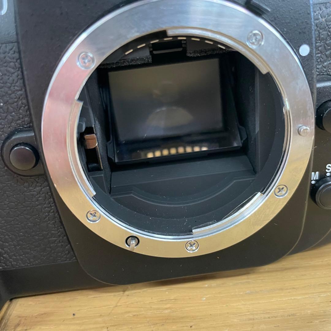 動作品 Nikon F100 フィルムカメラ 一眼レフ ボディ
