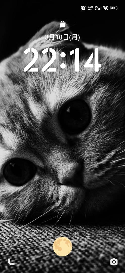 最終値下げ　超美品　VIVO X200 Pro mini black