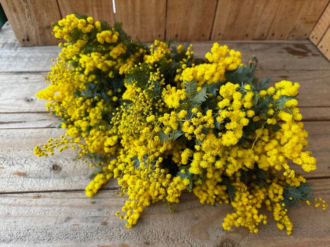 tsubura様 リクエスト 3点 まとめ商品