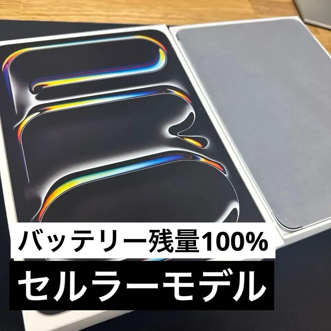 iPad Pro (M4) 11インチ 256GB Wi-Fi+Cel