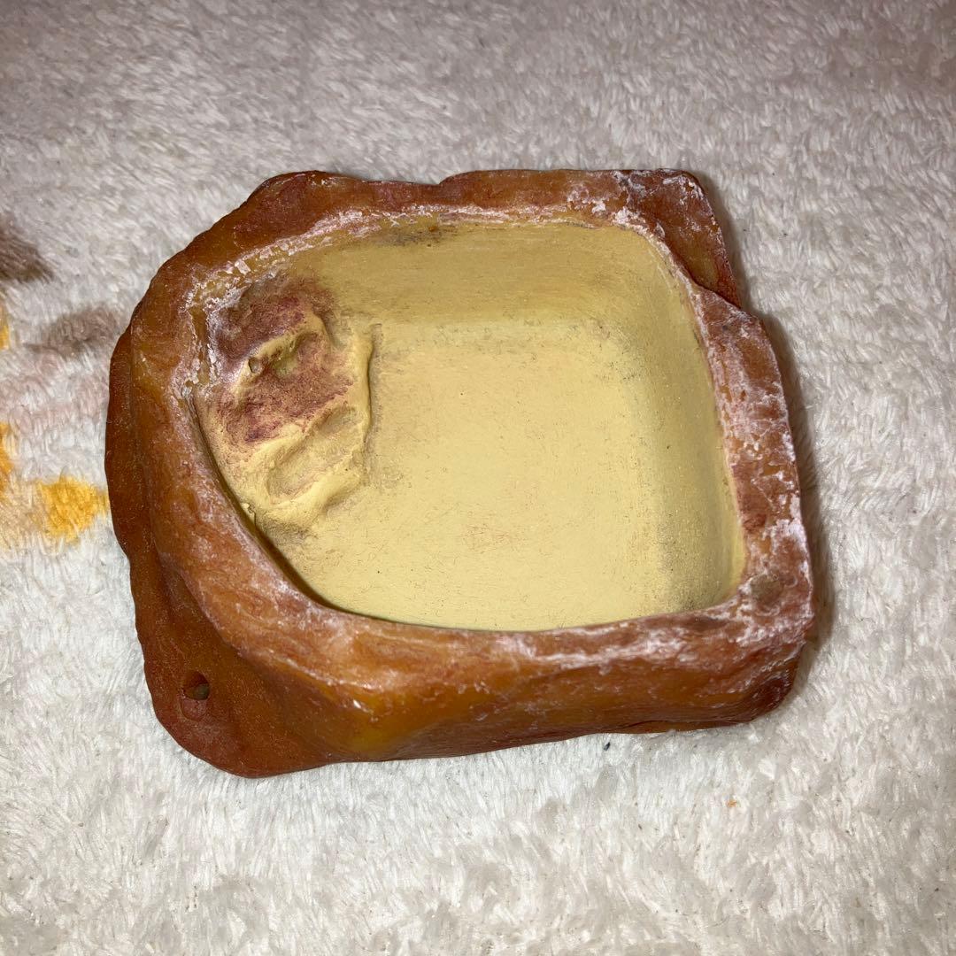 EXO TERRA（エキゾテラ） レオパ飼育キット／グラステラリウム3030