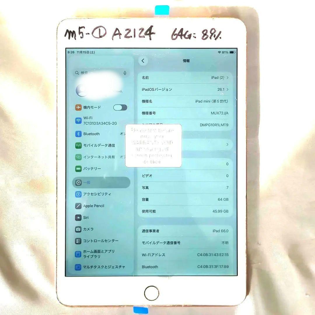 正常動作 IPad mini 第5世代 新品パーツ満載 SIMフリー