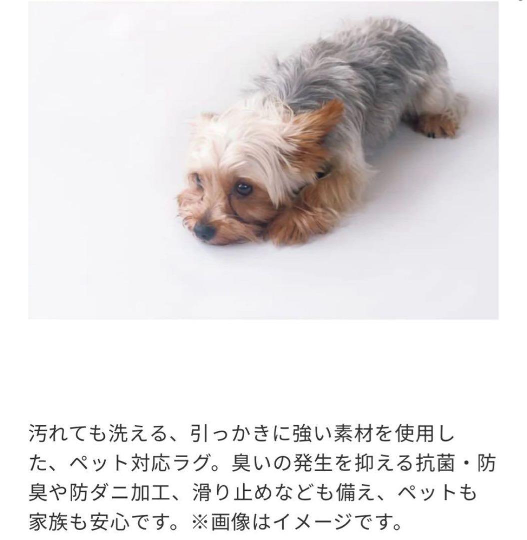 新品 ウニコ ラグ MENGEN(メンゲン) メランジグリーン 200×200