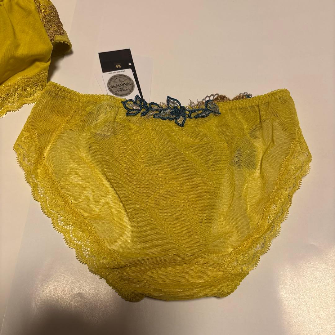 ワコール サルート B70&M2種 YE