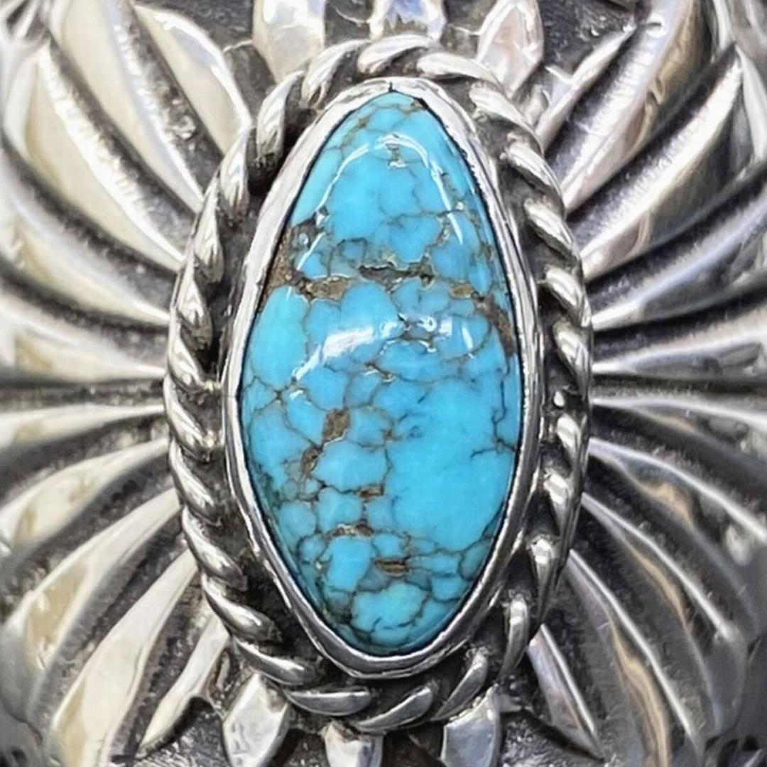 NAVAJO Sunshine Reeves キングマンターコイズリング 19号