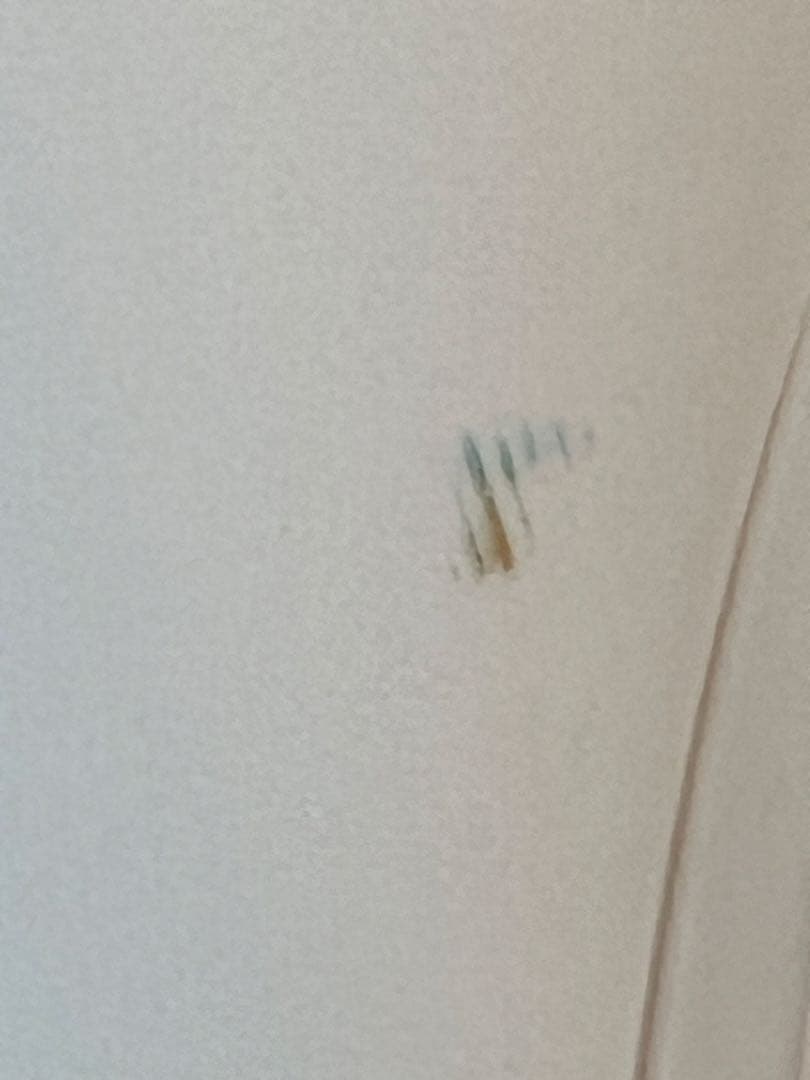 SHARPシャープ加湿器 加熱気化式 21畳　2021年製　動作確認済み