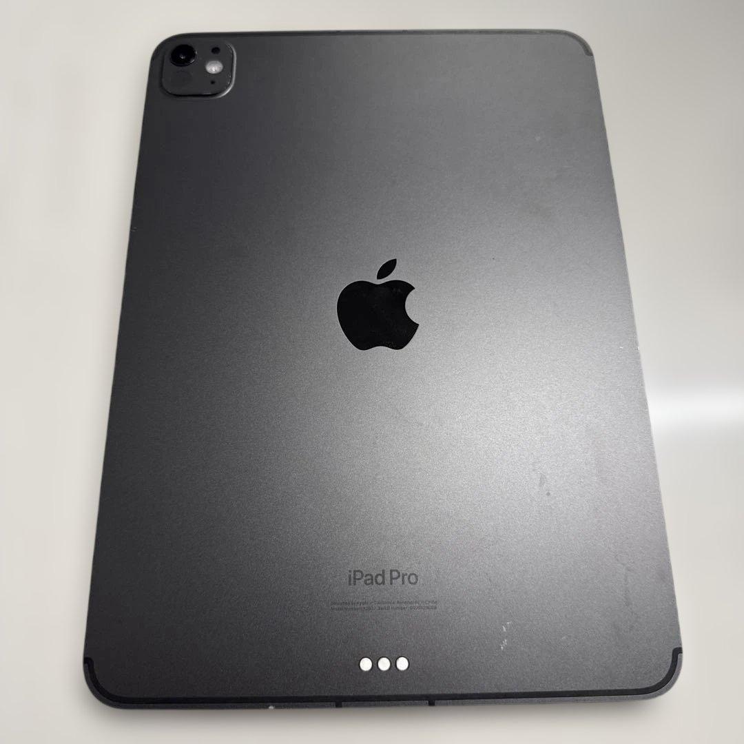 PodPro 11インチ　M4 256GB Wi-fi+ Cellular