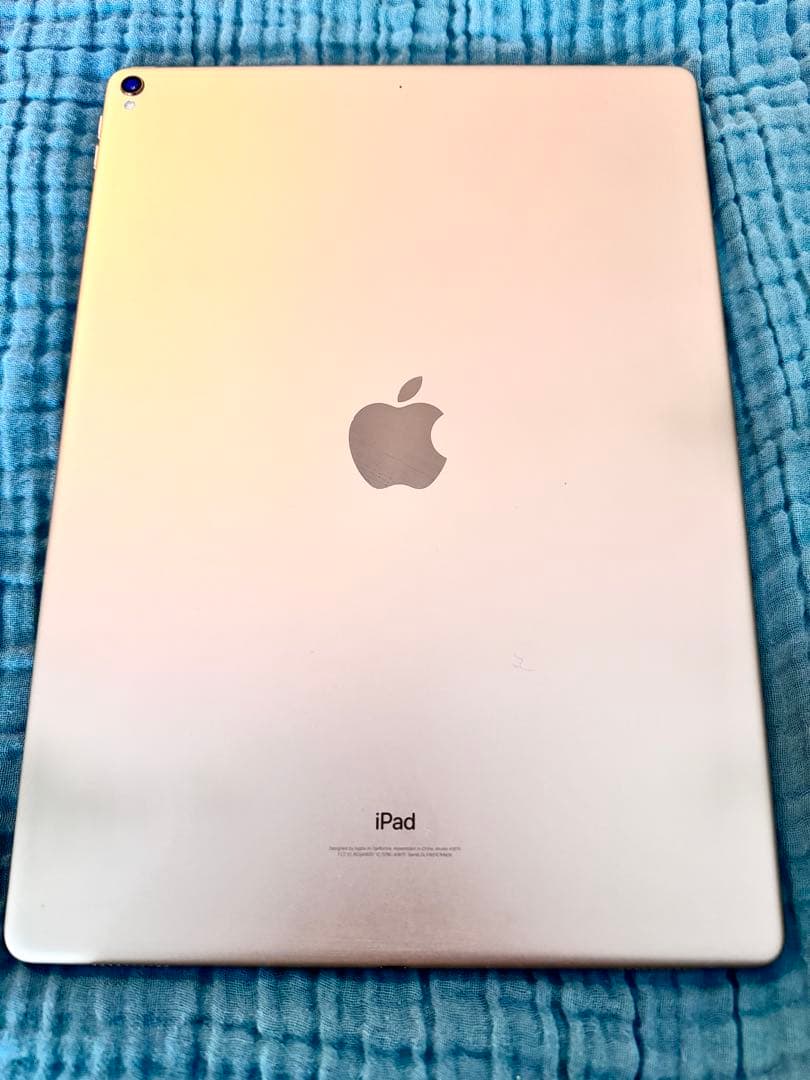 iPad pro 第2世代 12.9 256GB ＋Apple Pencil