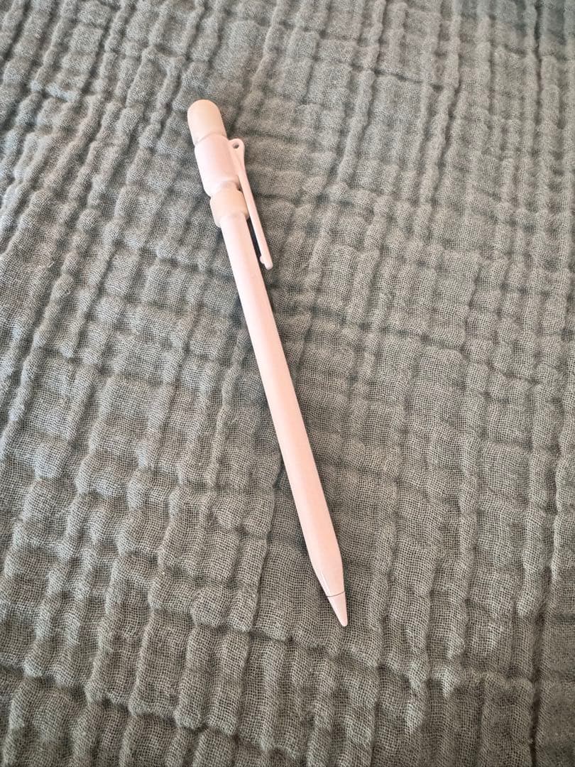 iPad pro 第2世代 12.9 256GB ＋Apple Pencil