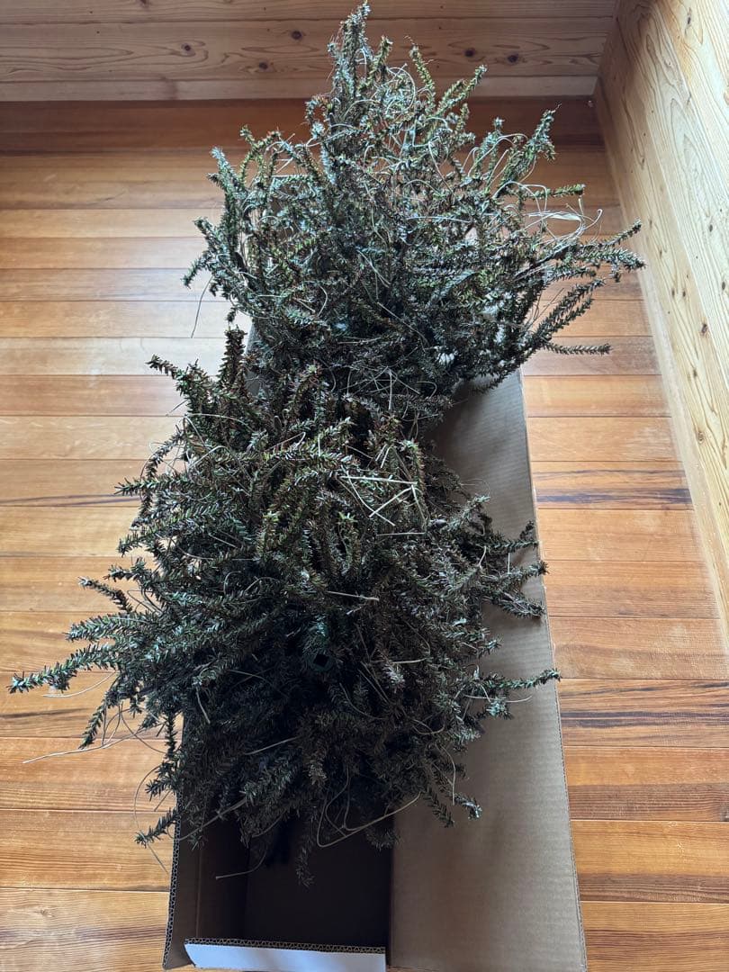 URHO クリスマスツリー 170cm