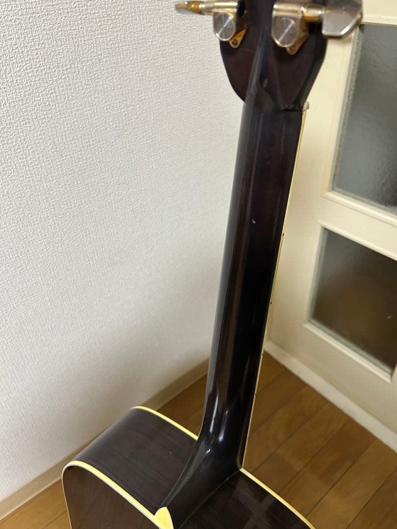 Cat's Eyes CE-500 大文字ロゴ　アコースティックギター