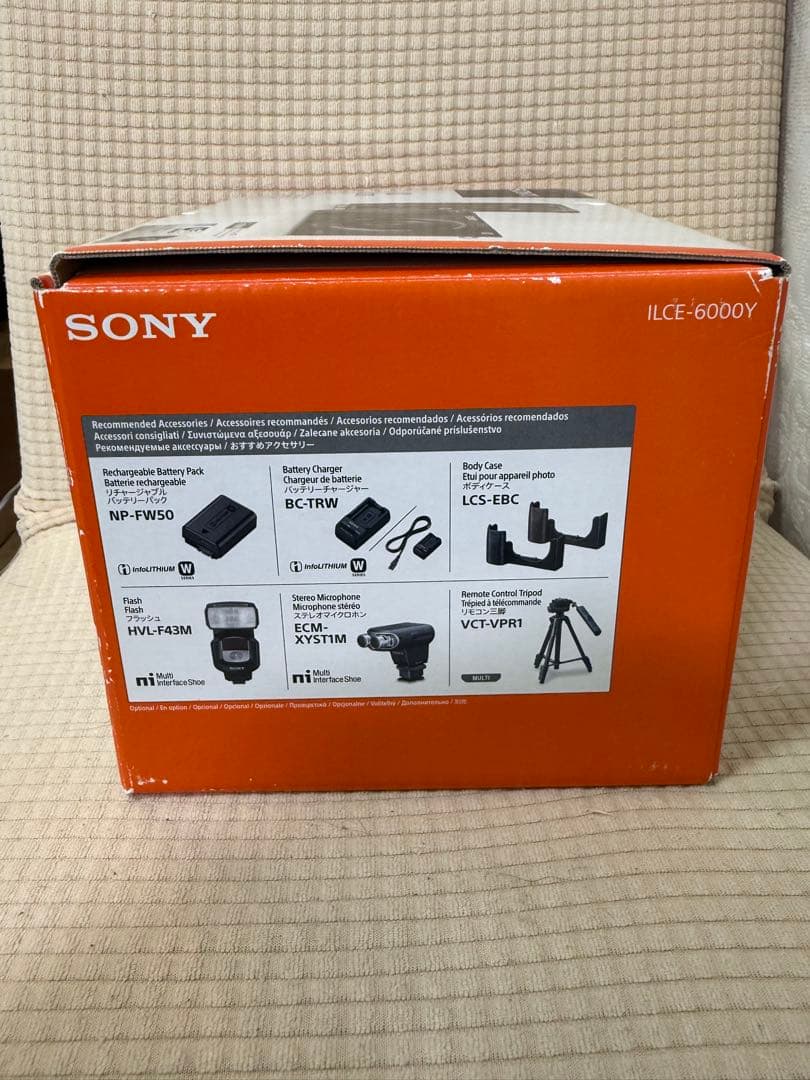 SONY α 6000 ダブルズームレンズキット ILCE-6000Y
