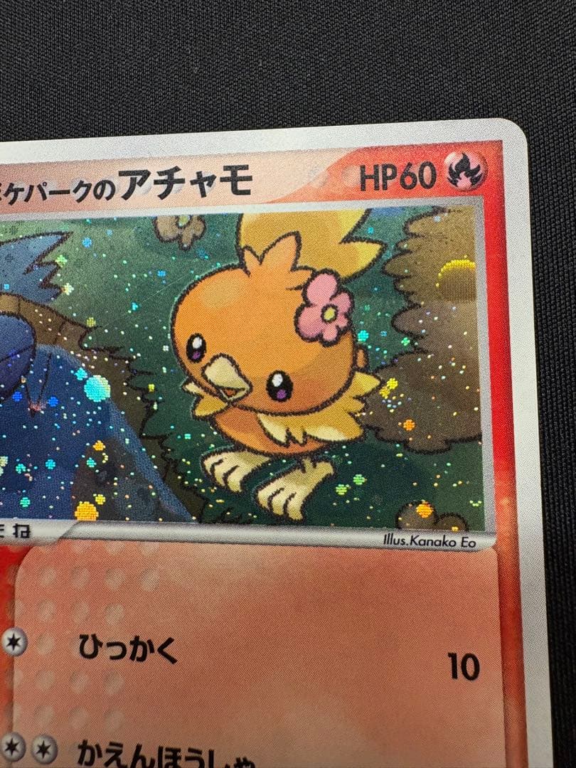 ポケモンカード ポケパークのアチャモ プロモ ポケパーク ADV-P