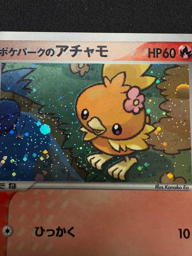 ポケモンカード ポケパークのアチャモ プロモ ポケパーク ADV-P