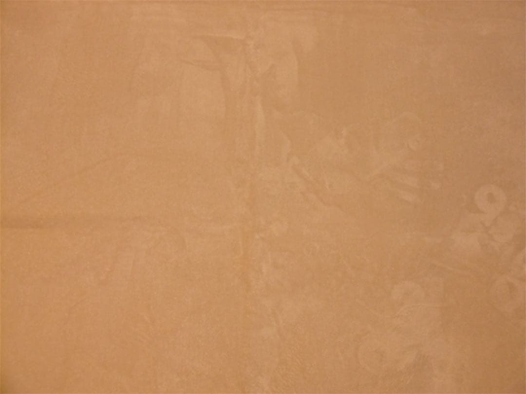 デジタルカメラ Panasonic Lumix DMC-SZ10