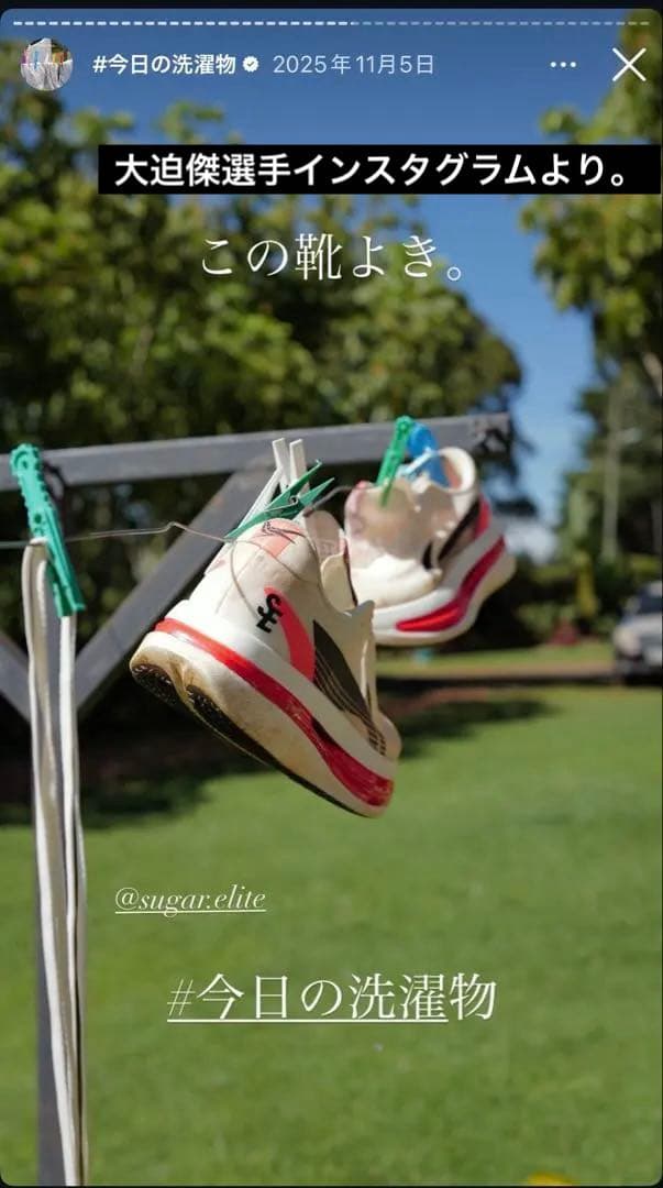 スパイク・シューズ LI-NING RED HARE 9 ULTRA