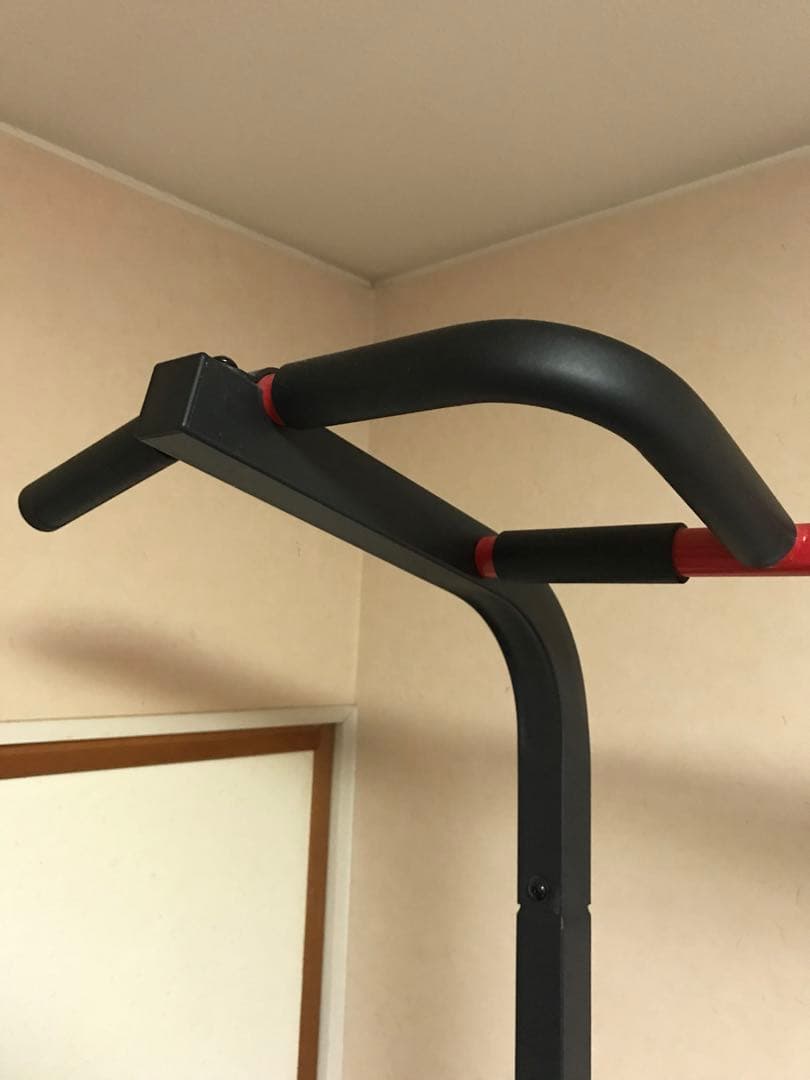 【tazima】BAW WING 懸垂バー付き