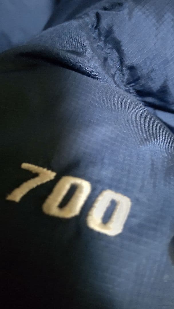 ザ ノースフェイス 700フィルダウンジャケット