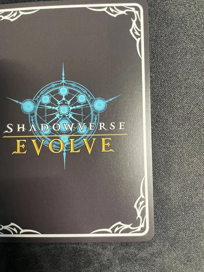 SP 揺蕩う意志 スピネ イラスト違い シャドウバース エボルヴ