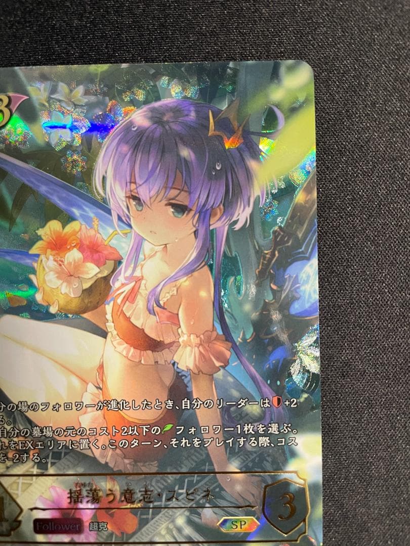 SP 揺蕩う意志 スピネ イラスト違い シャドウバース エボルヴ