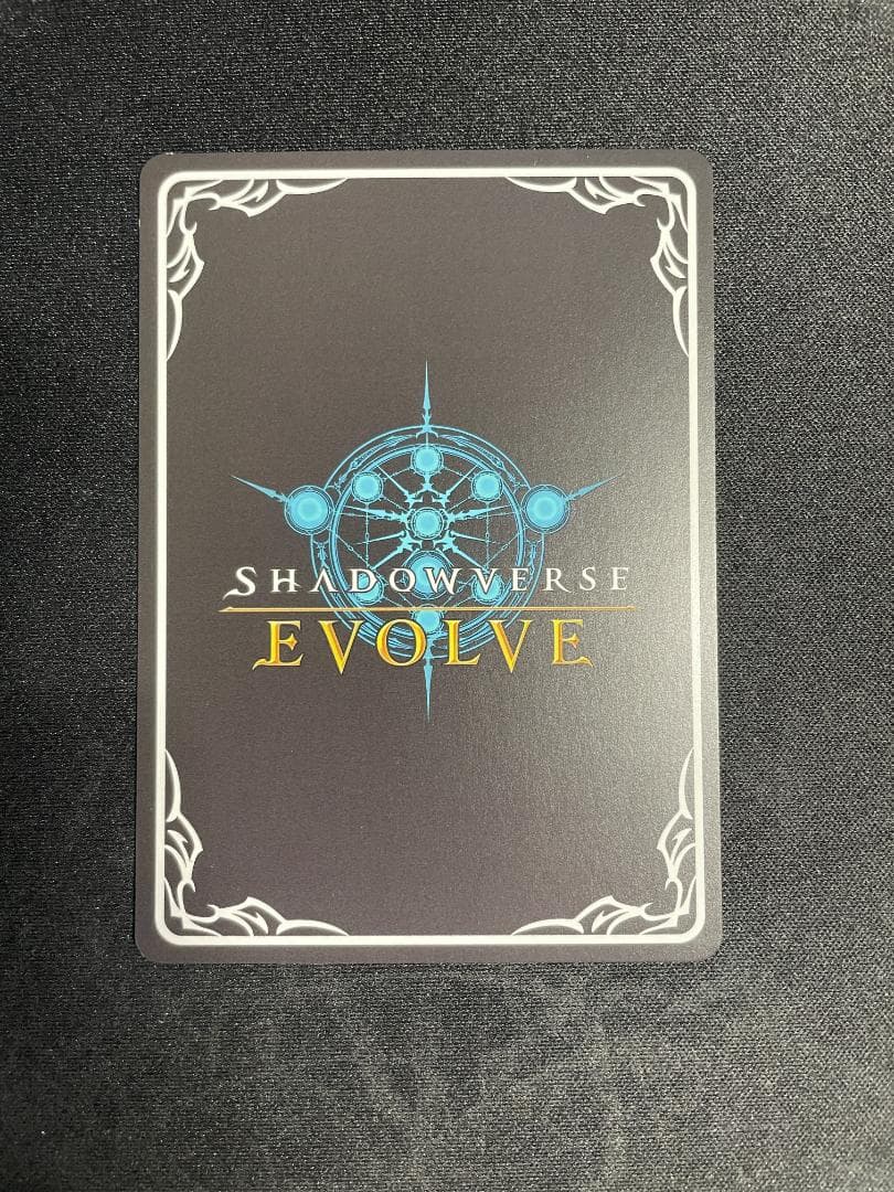 SP 揺蕩う意志 スピネ イラスト違い シャドウバース エボルヴ