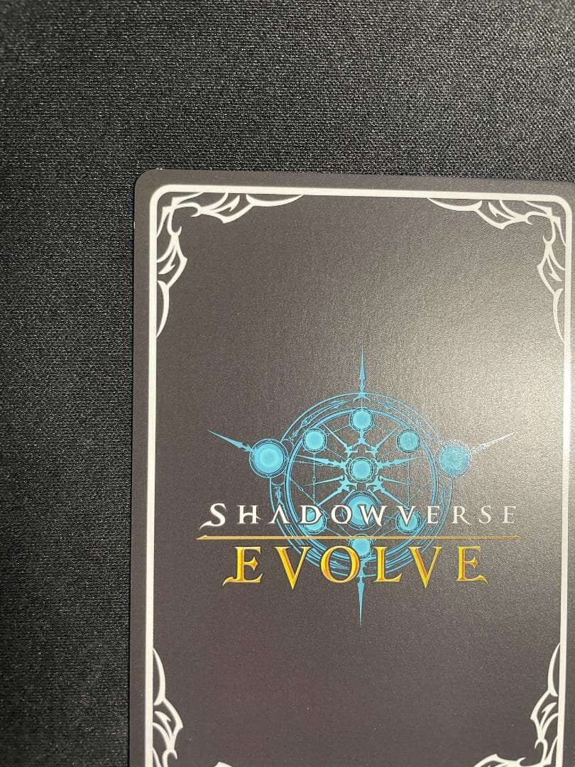 SP 揺蕩う意志 スピネ イラスト違い シャドウバース エボルヴ