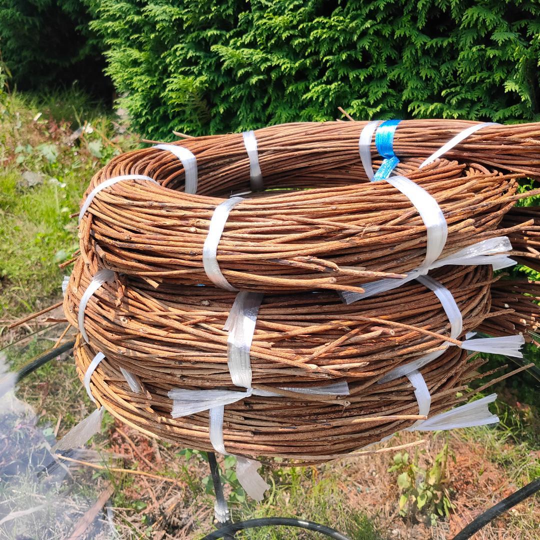 (委託品)青森県岩木山採取　あけび蔓　150cm～　3kg