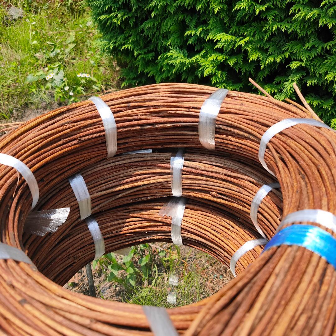 (委託品)青森県岩木山採取　あけび蔓　150cm～　3kg