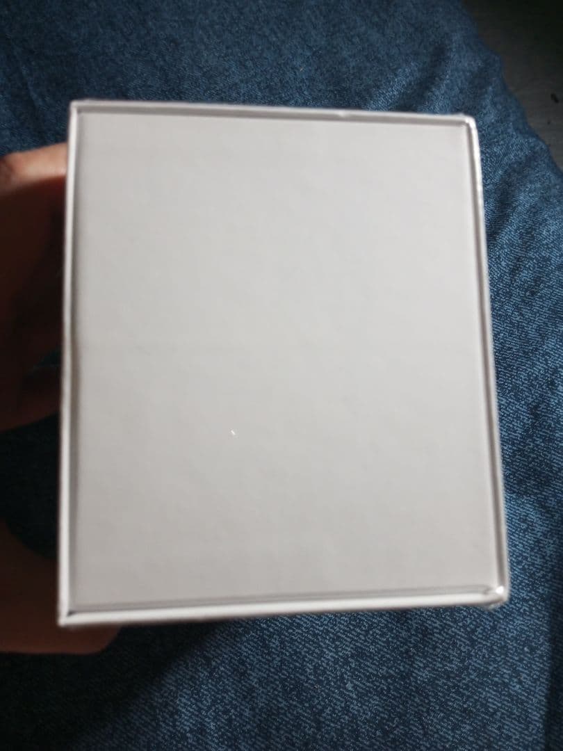 Insta360 Flow Pro シルバーグレー