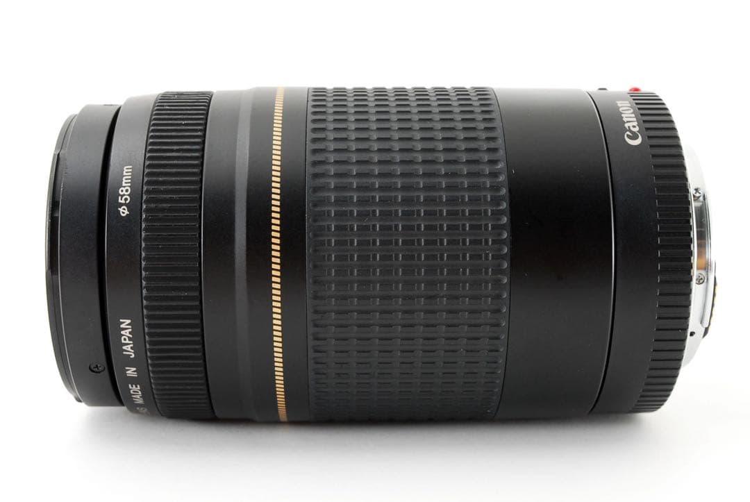 人気の望遠レンズ/スポーツ/イベント/Canon EF75-300㎜