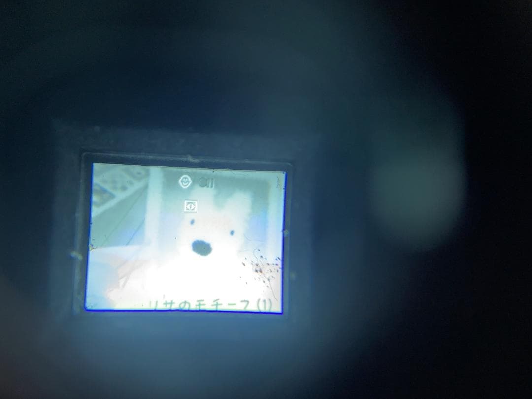 SONY ハンディカム TRV45