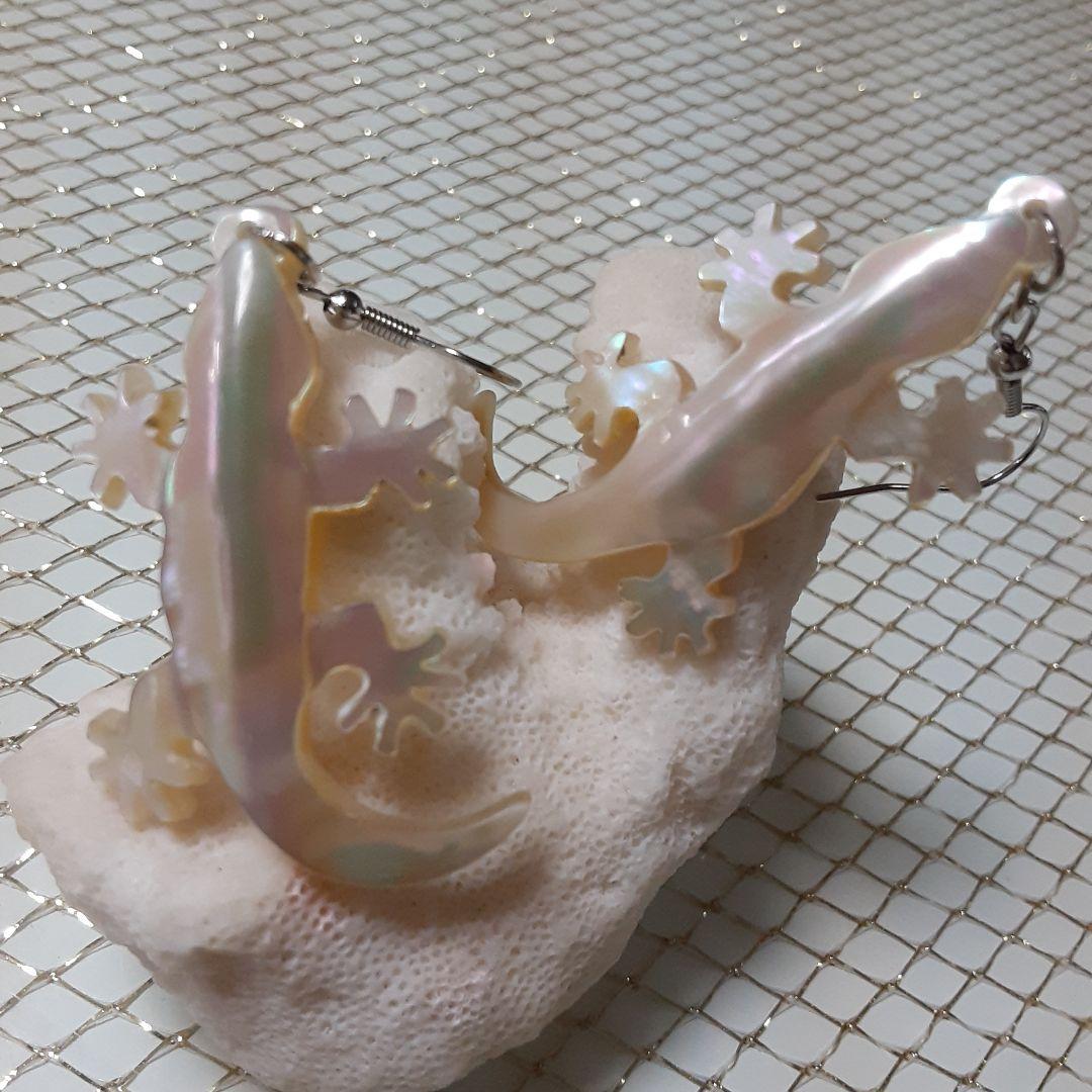 夜光貝　(6点おまとめ/ペロちゃん。❤︎お取り置き中)