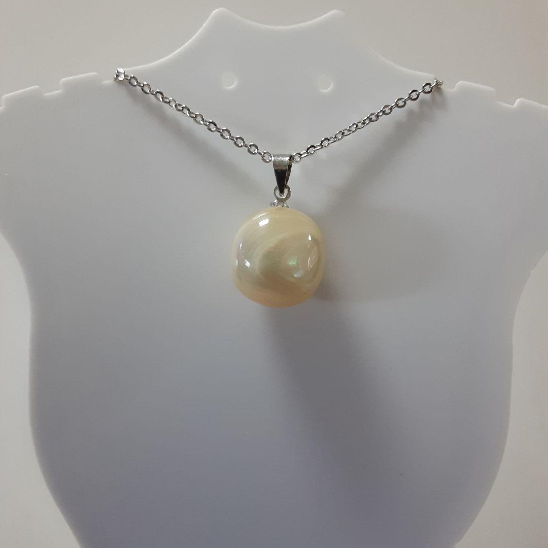 夜光貝　(6点おまとめ/ペロちゃん。❤︎お取り置き中)