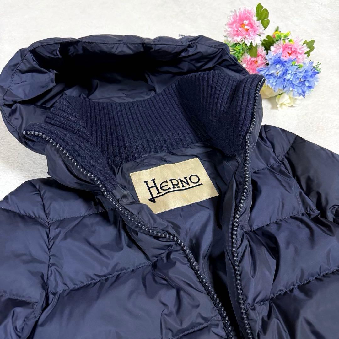 美品★HERNO★ヘルノ ロングダウンコート　ポーラテック リブ切替 紺 40
