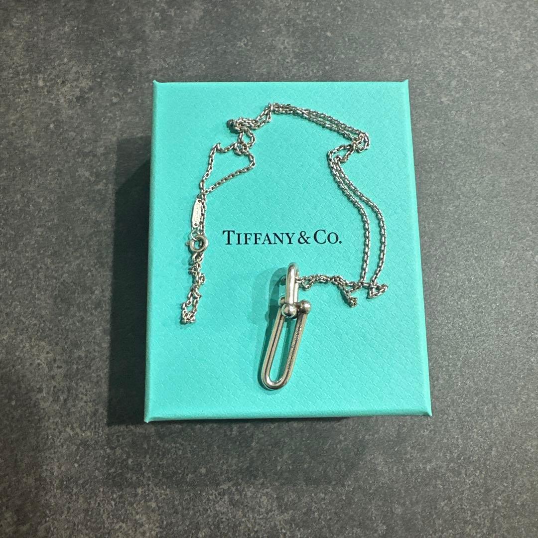 ティファニー【交渉・即購入可】シルバー　ネックレス　リンク　ワンポイント　細長