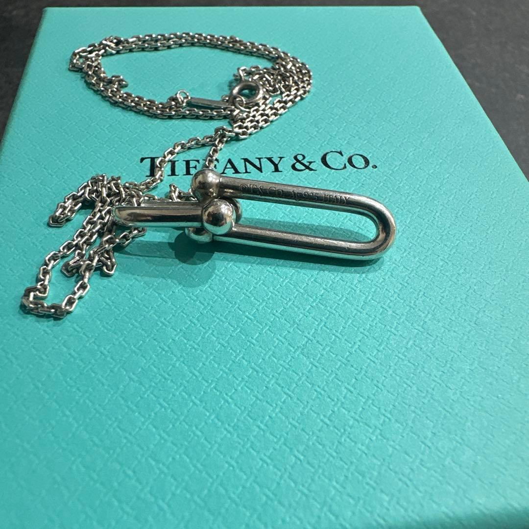 ティファニー【交渉・即購入可】シルバー　ネックレス　リンク　ワンポイント　細長