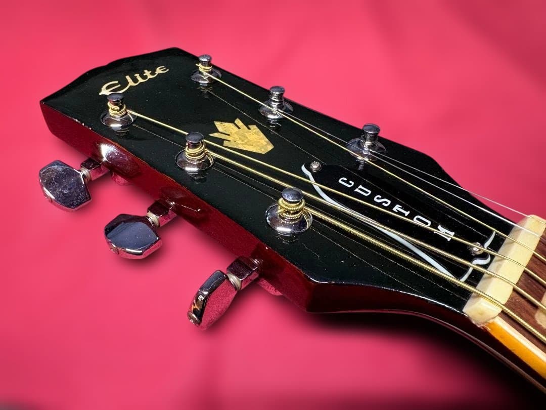 ケ*ジ様 ★タカミネ・ハミングバード！エリート・カスタム HM-25 超ジャキ鳴