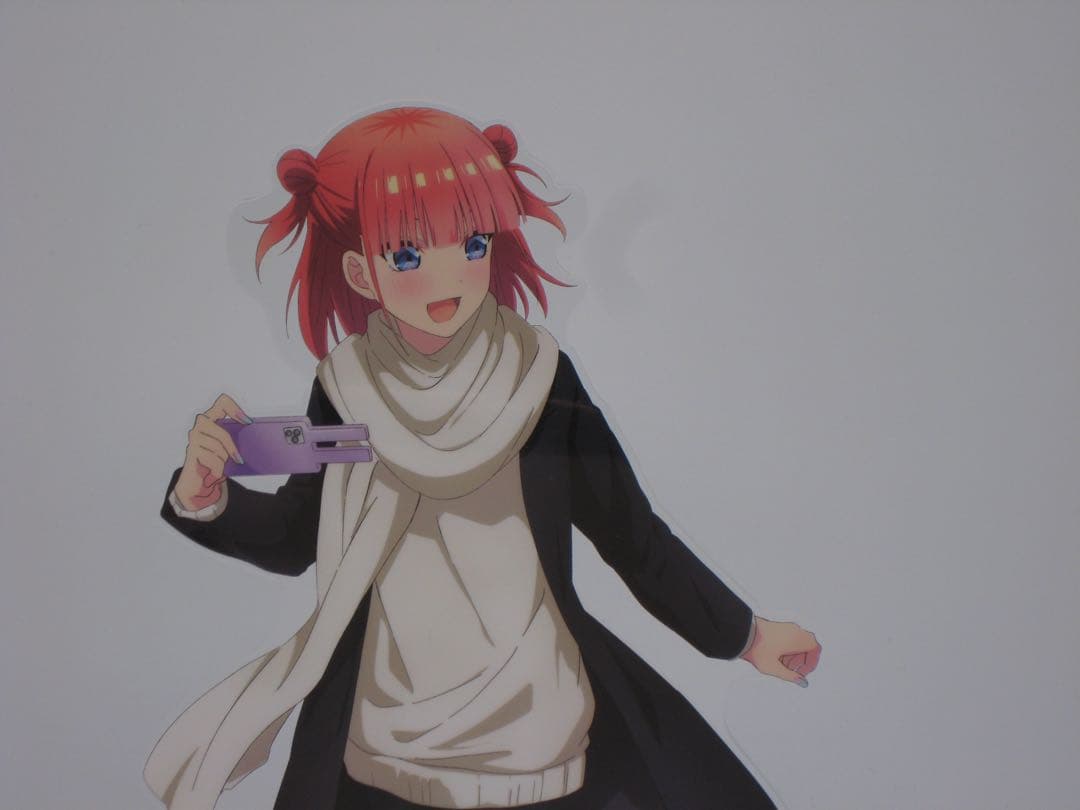 Canon IXY DIGITAL 900IS オールドコンデジ シルバー