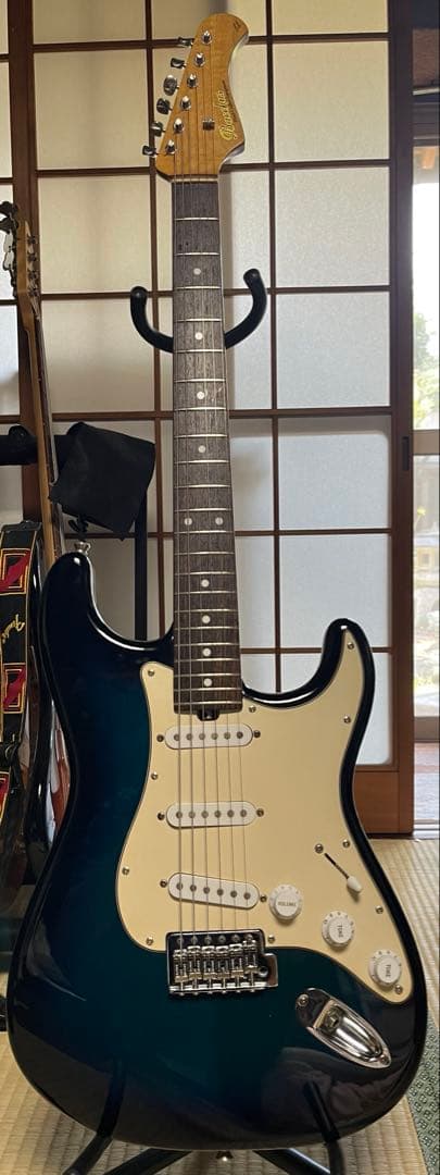 Bacchus GlobalストラトMod (ゴトーペグ、ctsポット)