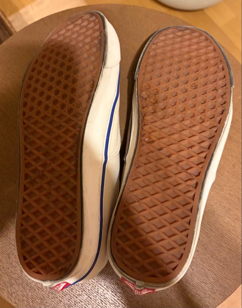 【ユーカリ.Vansアナハイムファクトリー オーセンティック44DX 】