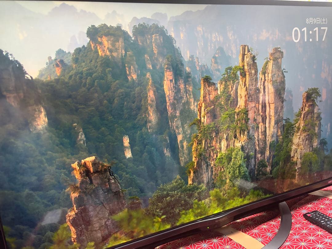 4K液晶テレビ「AQUOS 4T-C45AL1」