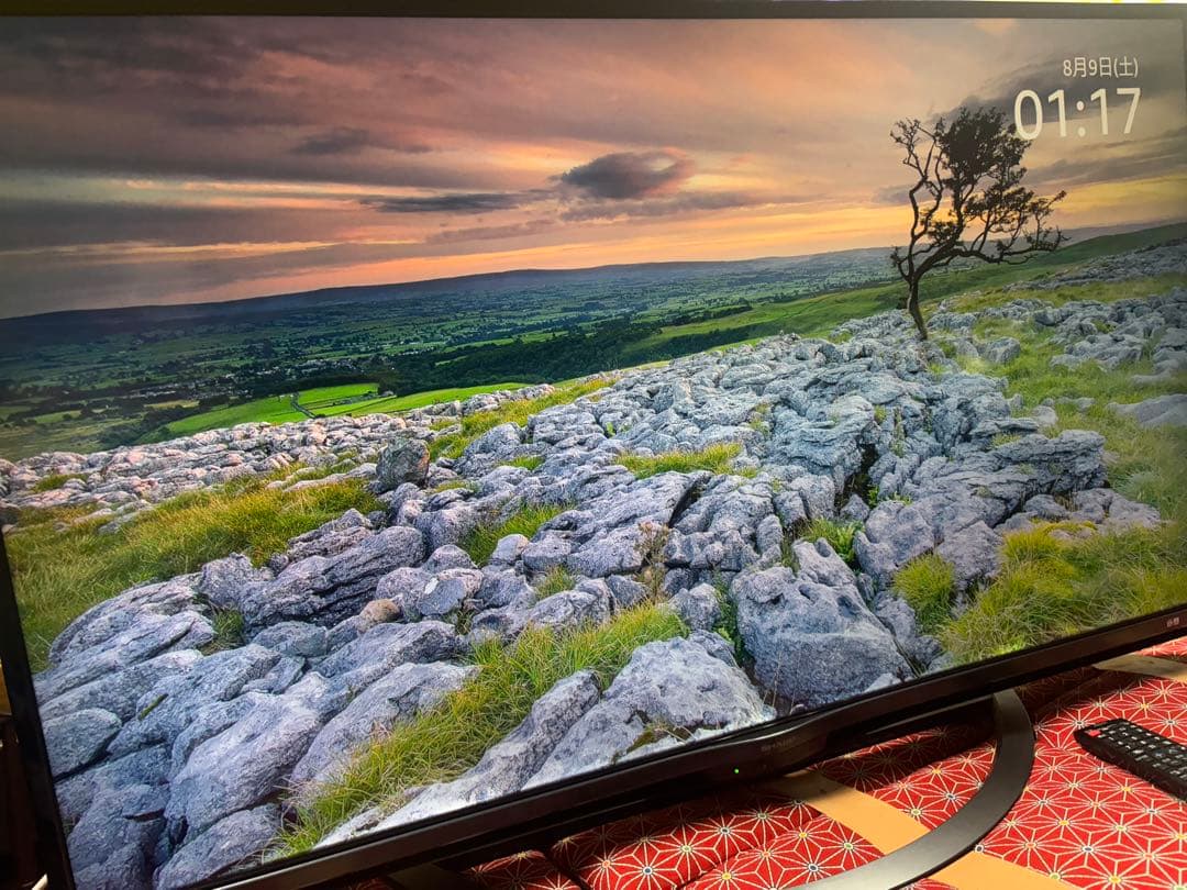 4K液晶テレビ「AQUOS 4T-C45AL1」