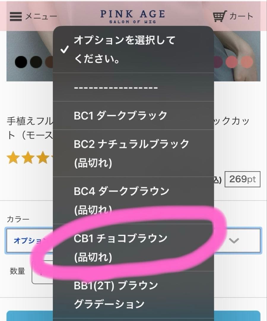 ピンクエイジ 総手植え 完売品カラー チョコブラウン スリックカットストレート