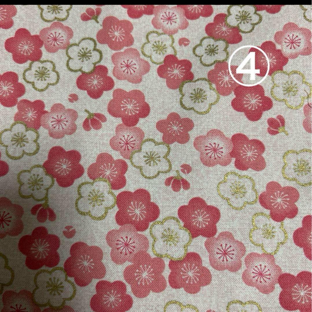 Hukumariラスト限定品❗️超レアパネルポメラニアン合格祈願お守り片面9