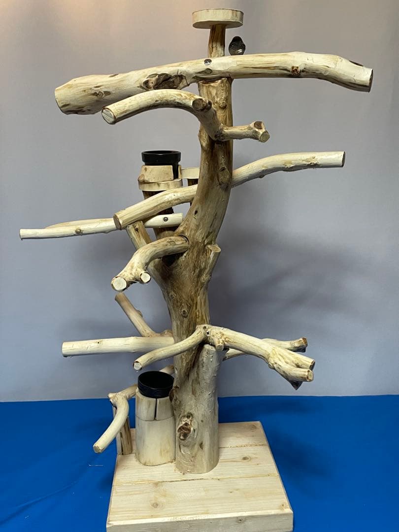 天然木白木バードジム75センチ