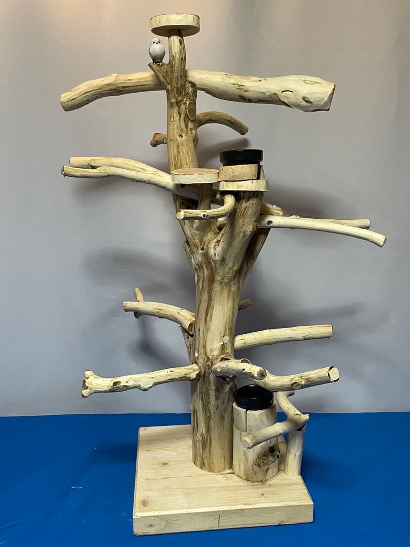 天然木白木バードジム75センチ