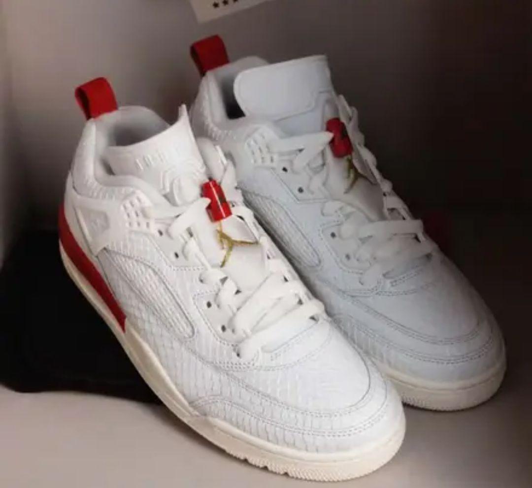 NIKE JORDAN SPIZIKE ジョーダン スパイクリー エルブエロ